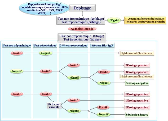 Dépistage de la syphilis selon l'HAS 2007