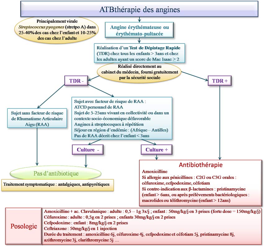 Traitement des angines