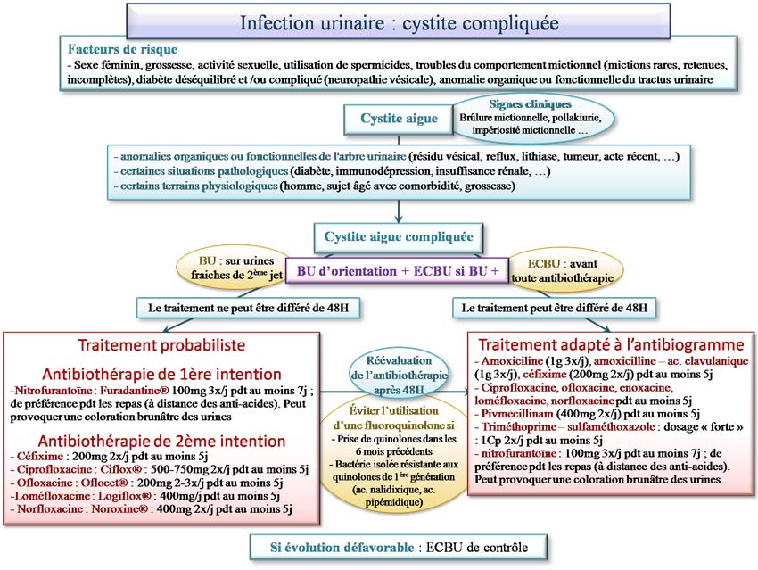 Traitement de la cystite compliquée