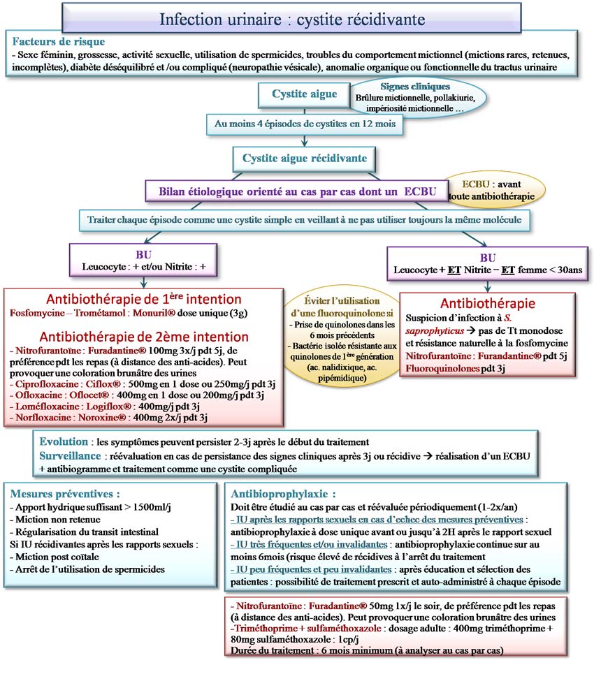 Traitement de la cystite récidivante