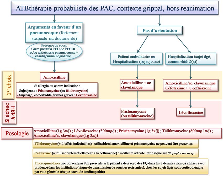 Traitement des pneumopathies aiguës communautaires dans un contexte grippal