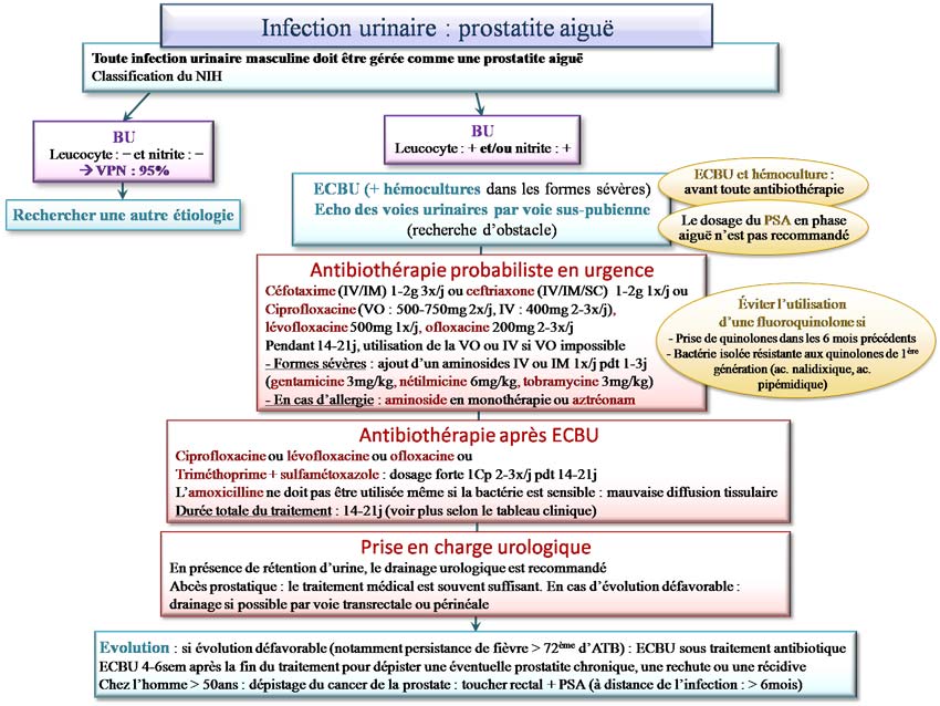 prostatite recidivante