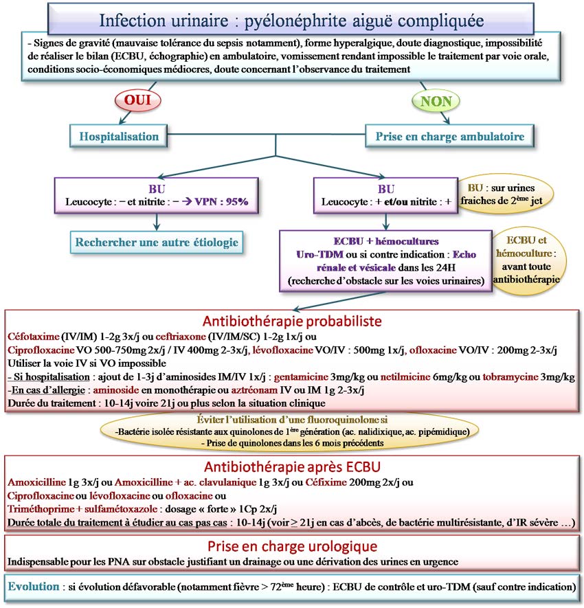 Traitement de la pyélonéphrite compliquée