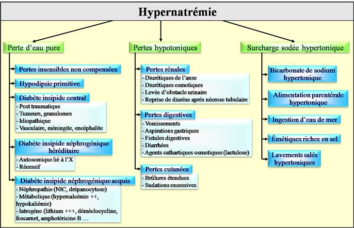 Etiologies d'une hypernatrémie