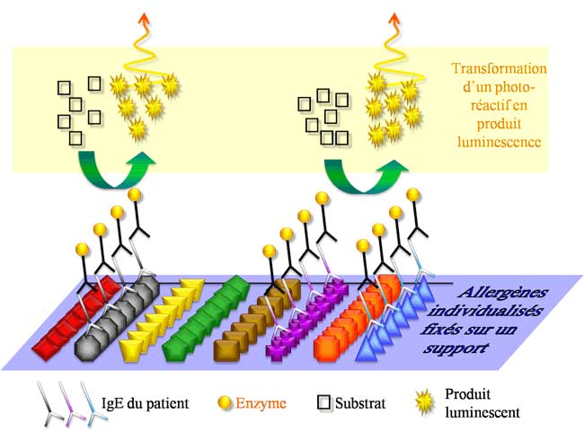 tests multiallergéniques quantitatifs