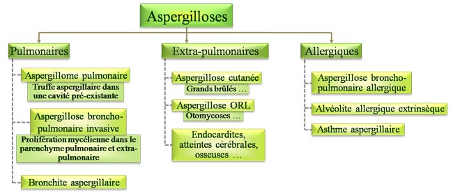 Clinique des aspergilloses