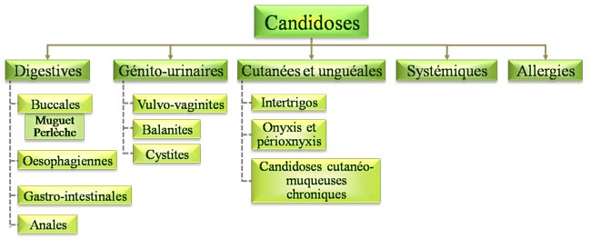 Clinique des candidoses