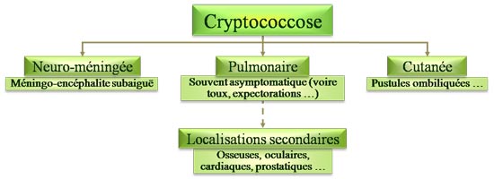 Clinique des cryptococcoses