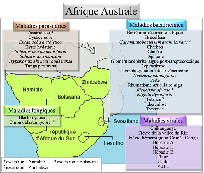 Afrique Australe