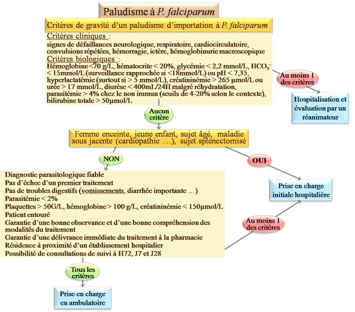 prise en charge paludisme