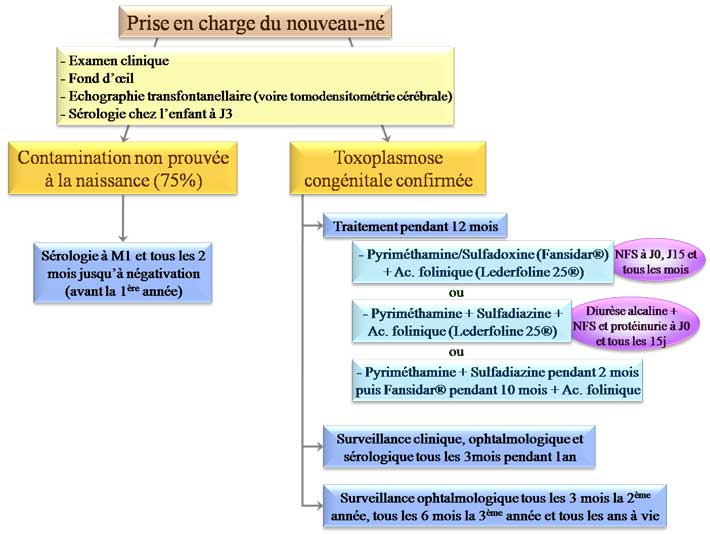 prise en charge nouveau né toxoplasmose