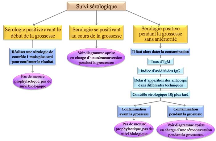 sérologie toxoplasmose