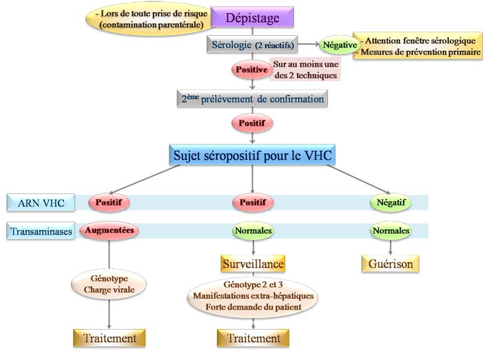 Dépistage d'une infection par le virus de l'hépatite C (VHC)