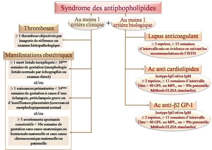 Syndrome des anti-phospholipides (SAPL)