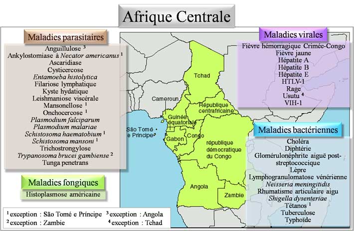 Pathologies d'Afrique centrale