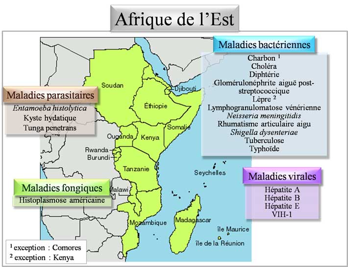 Pathologies d'Afrique de l'est