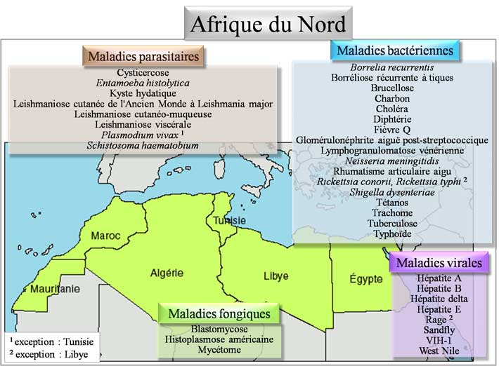 Pathologies d'Afrique du nord