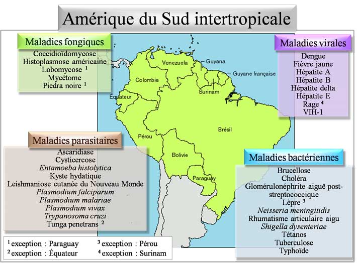 Pathologies d'Amérique du sud intertropicale