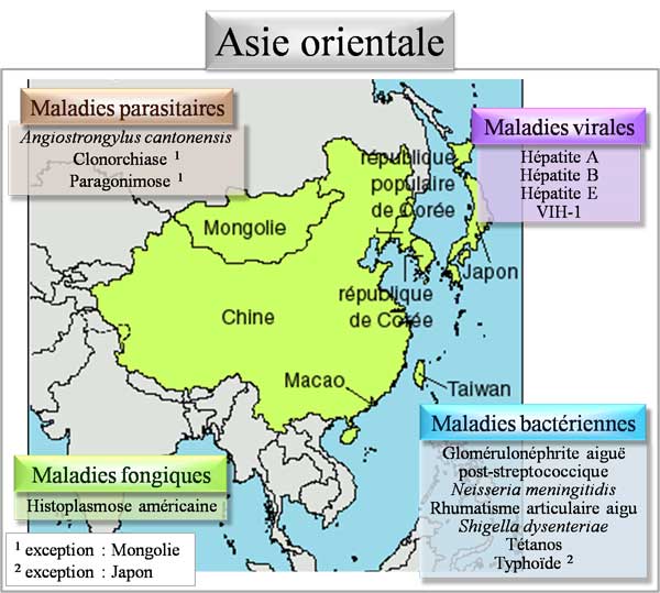 Pathologies d'Asie orientale