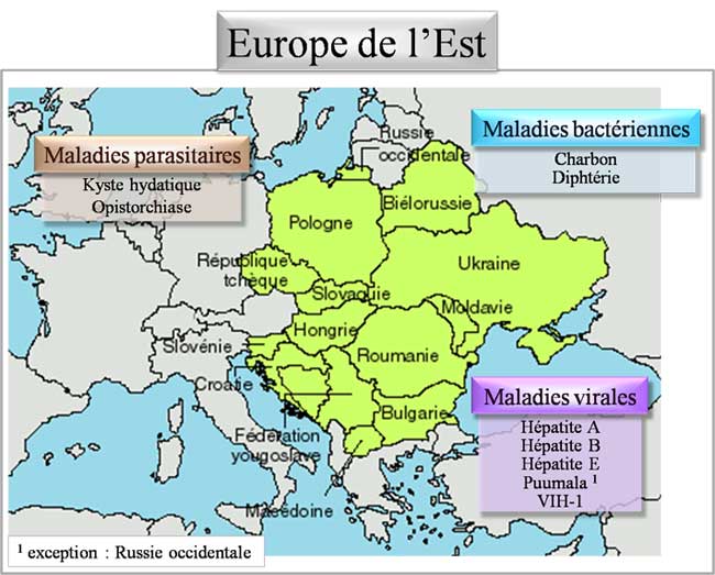 Pathologies d'Europe de l'est