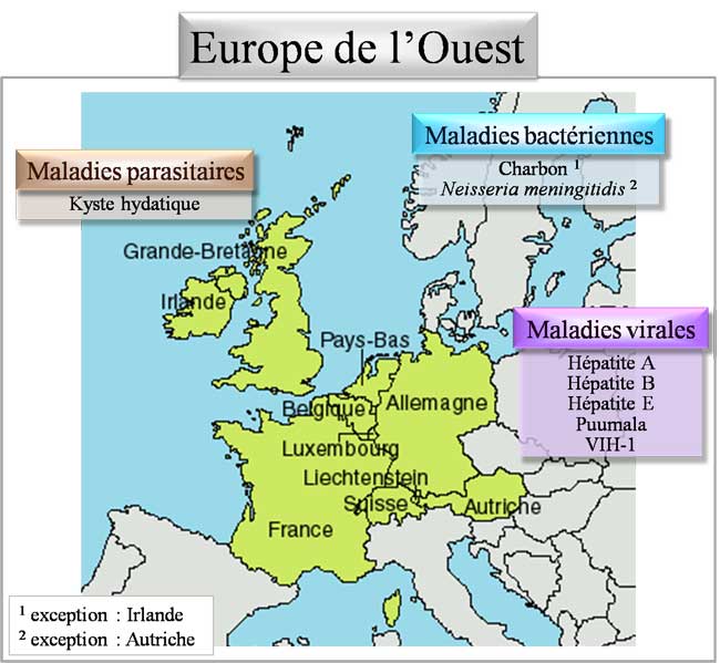 Pathologies d'Europe de l'ouest