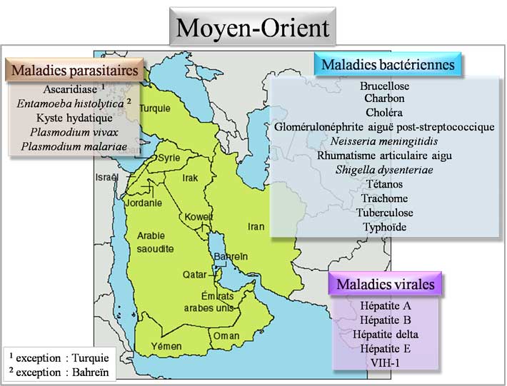 Pathologies du Moyen-Orient
