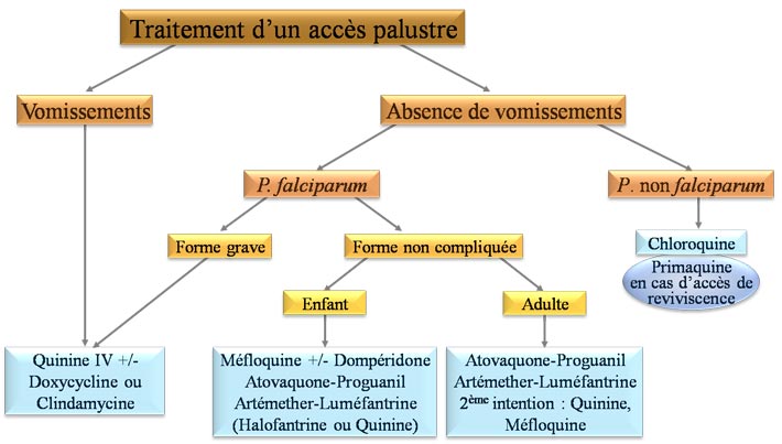 Traitement du paludisme